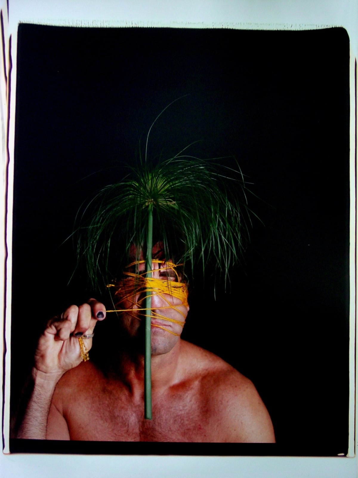 Carlos Betancourt, Back Stories at Hobe Sound N, 2004