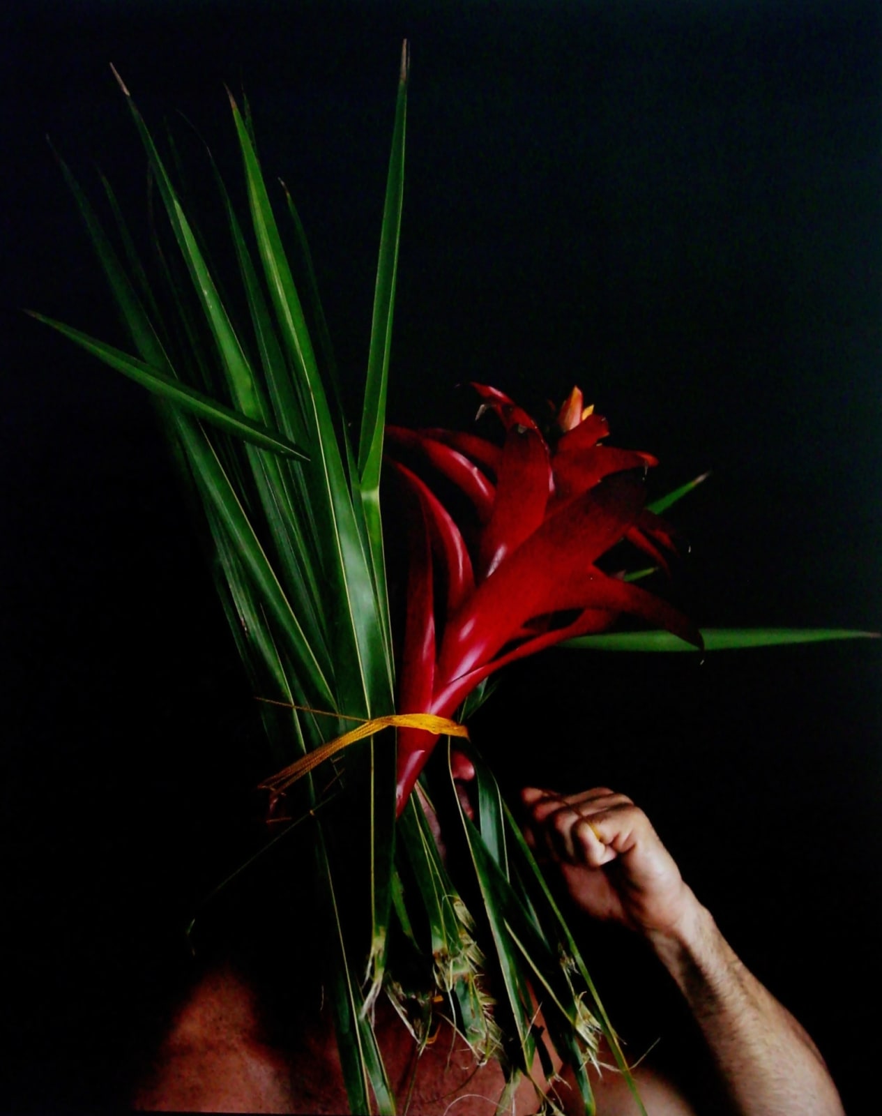 Carlos Betancourt, Back Stories at Hobe Sound Z, 2004
