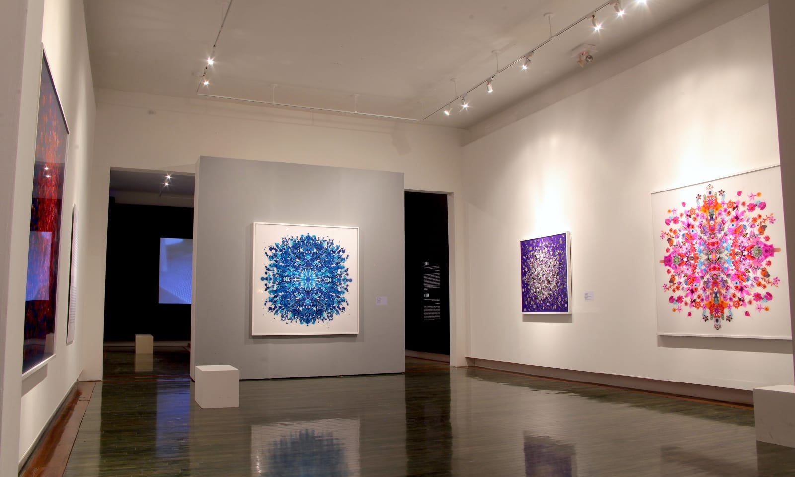 Carlos Betancourt, (Museo de Arte Contemporaneo de Puerto Rico) Re-Collecitons X, color, 2015