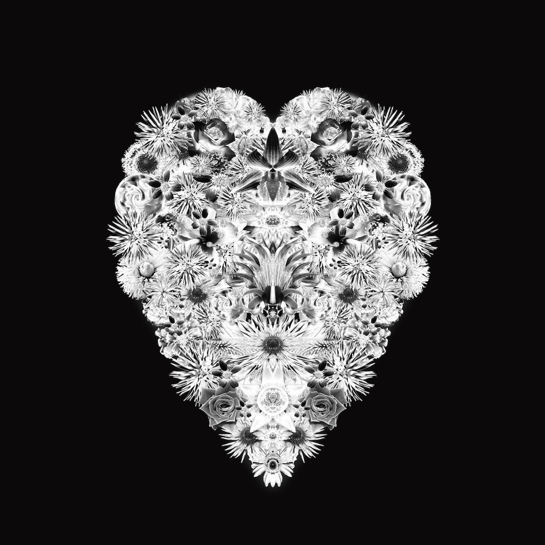 Crowns and Journeys III, X- Ray White, 2010