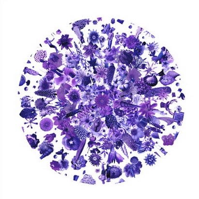 Carlos Betancourt, Re-collection VII Winter, 2009