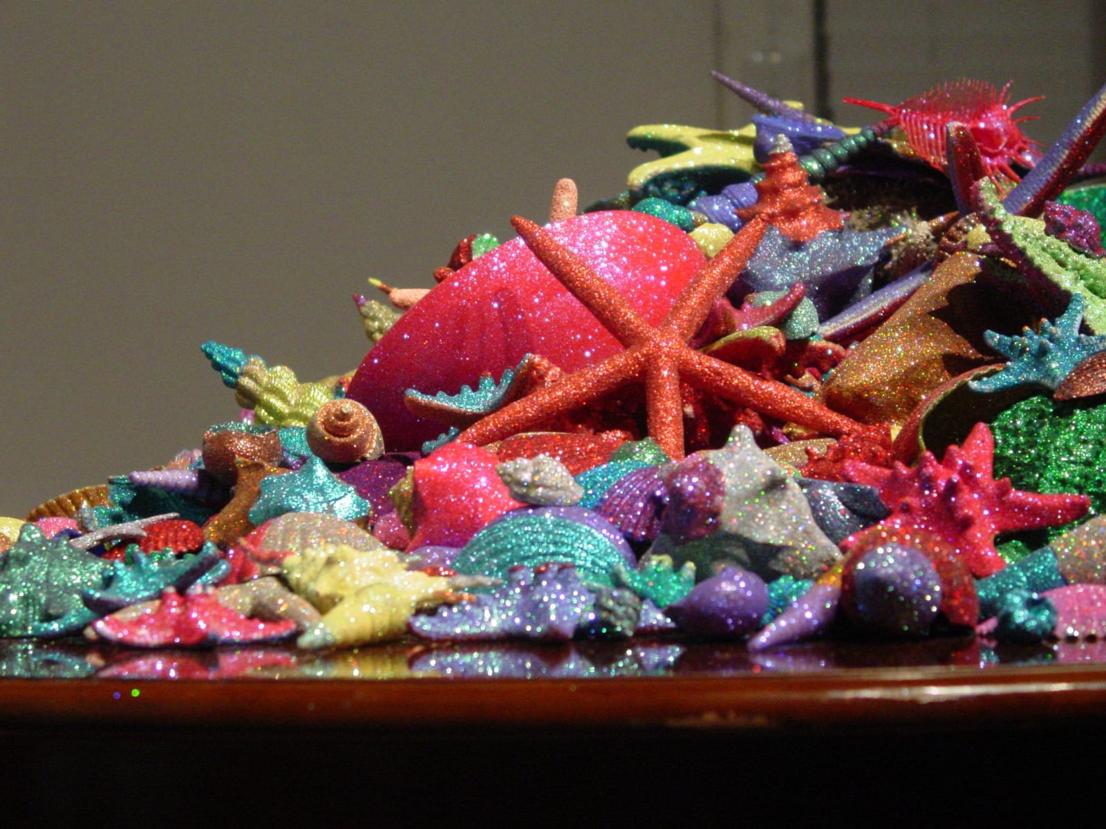 Carlos Betancourt, Re-Collections Seashells installation, 2006