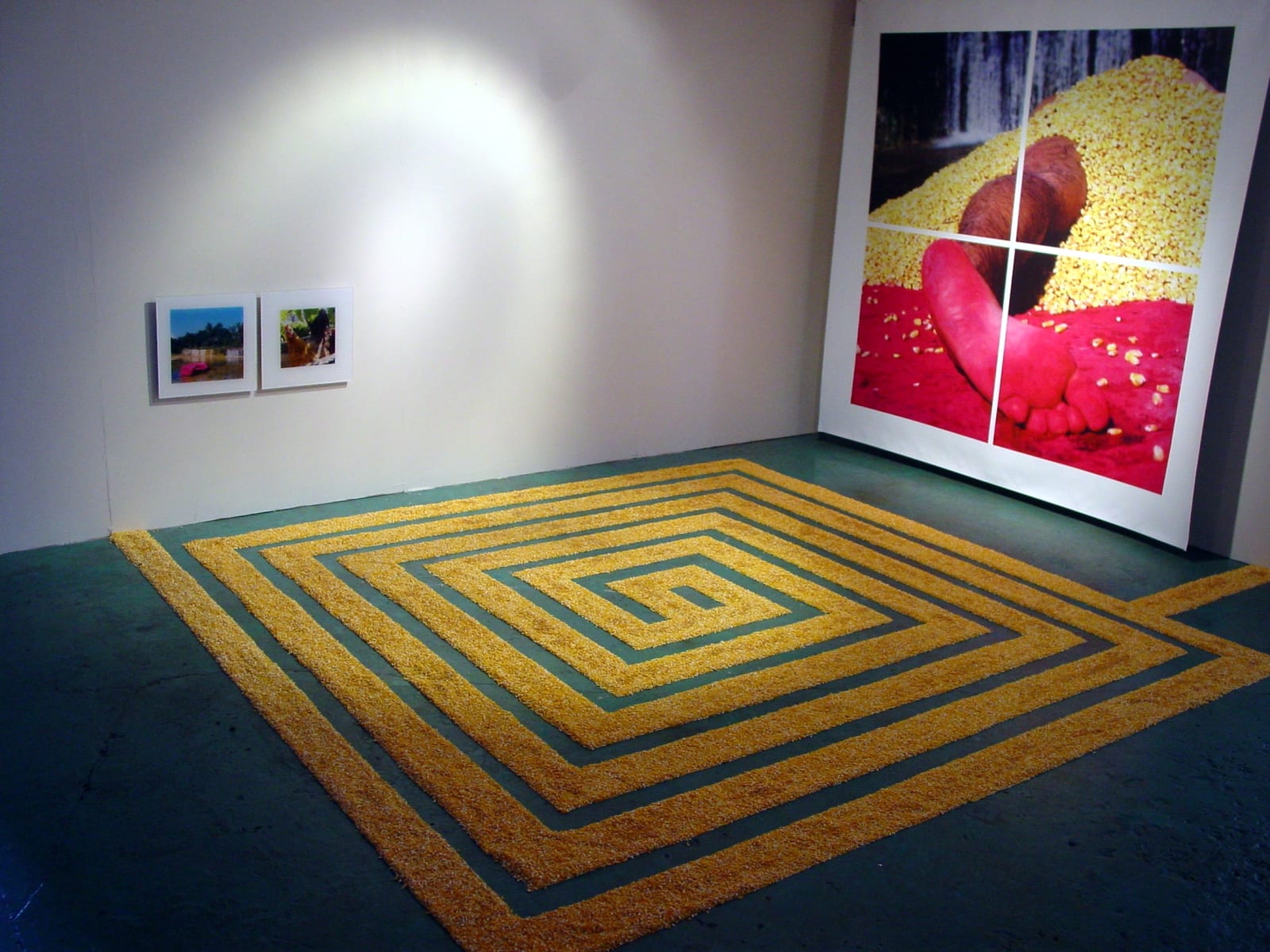 Carlos Betancourt, Trans-eat, Maize! site specific ephemeral installation ( Food Culture Museum), 2003