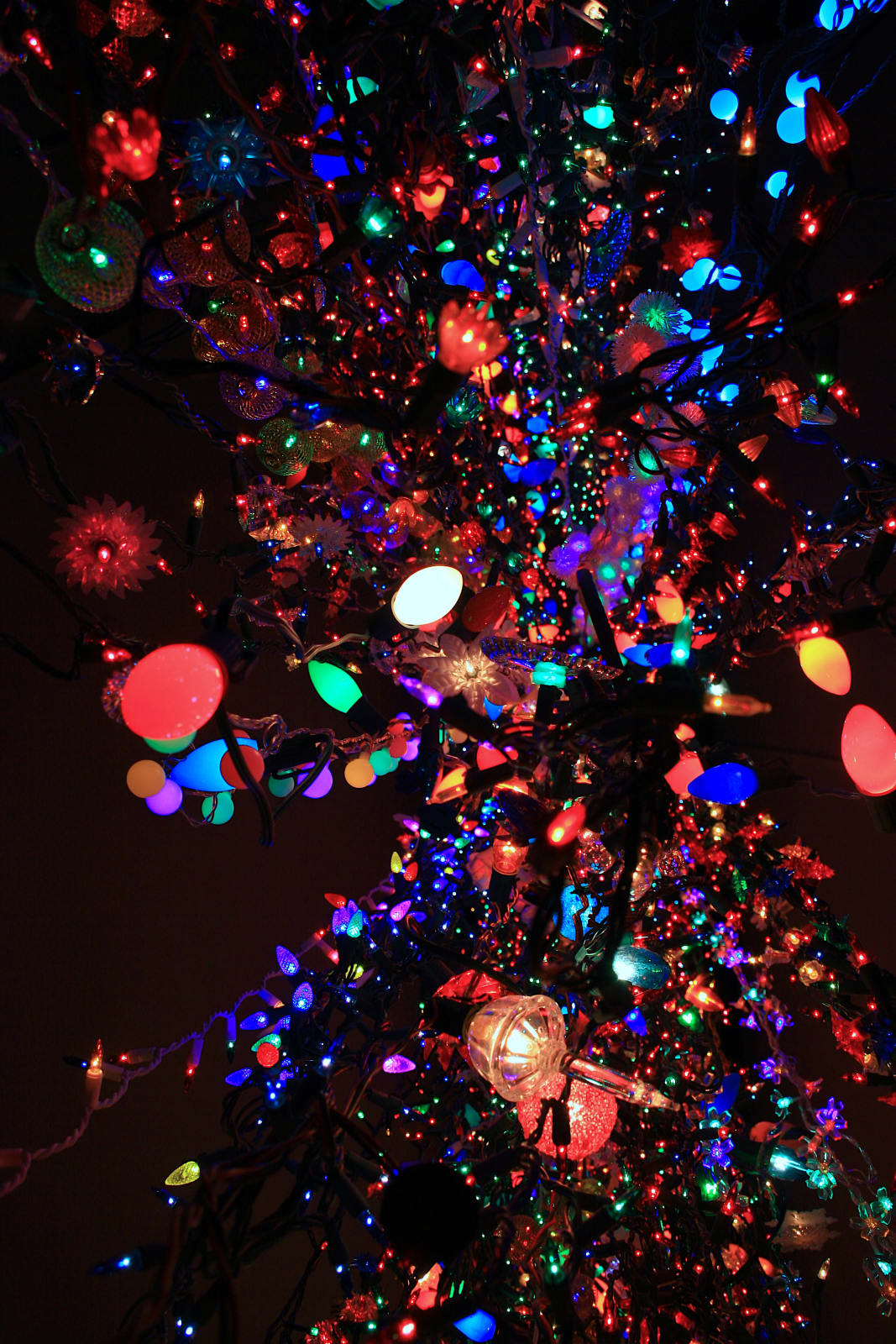 CARLOS BETANCOURT, (View from below) Mancini's Curtain, 2018