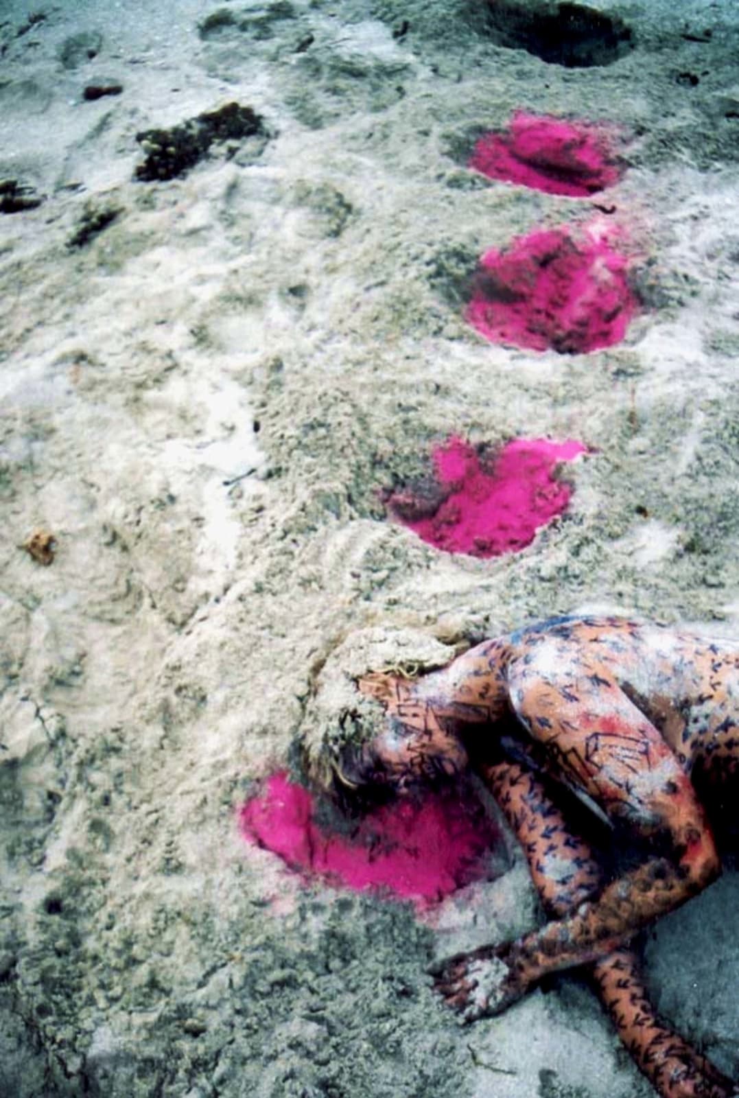 Carlos Betancourt, Untitled After September Fuchsia I, 2002