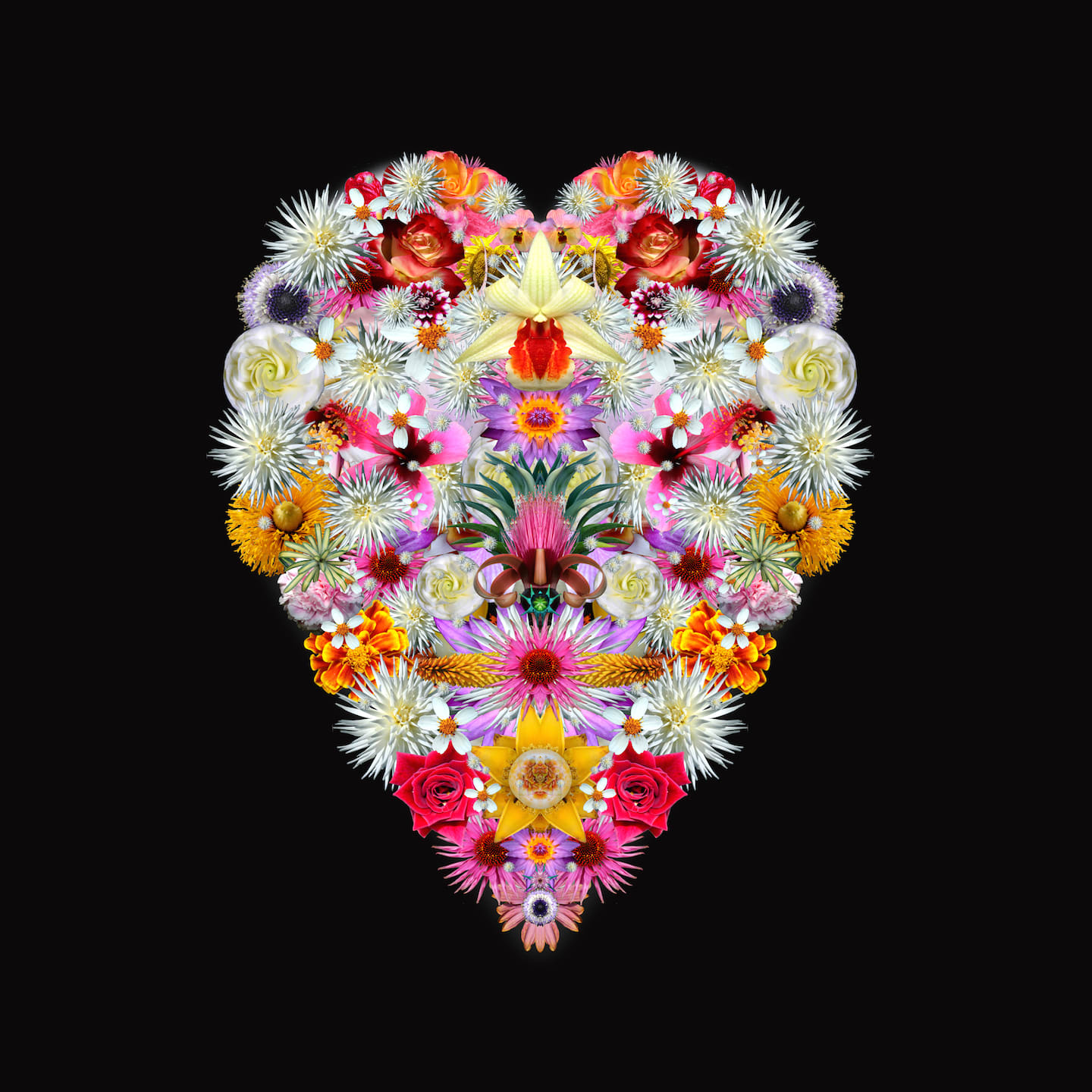 Carlos Betancourt, Of Crowns and Journeys III, color, 2010