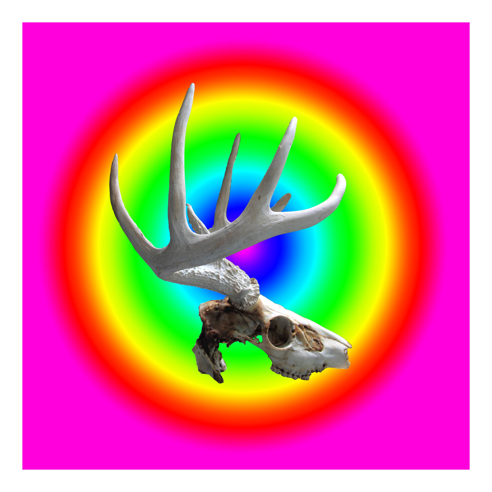 Carlos Betancourt, Of Kenya and Candies Bullseye I, 2010