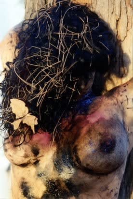 Carlos Betancourt, Interventions in Nature Series IV, Untitled Two Faces, 2001, 2001