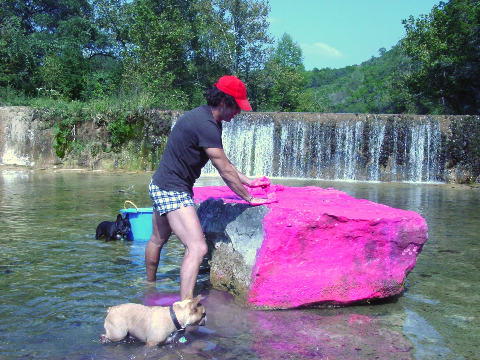 Carlos Betancourt, Interventions in San Antonio Fuchsia, Gallagher Ranch, ( assembly for shoot photos), 2003