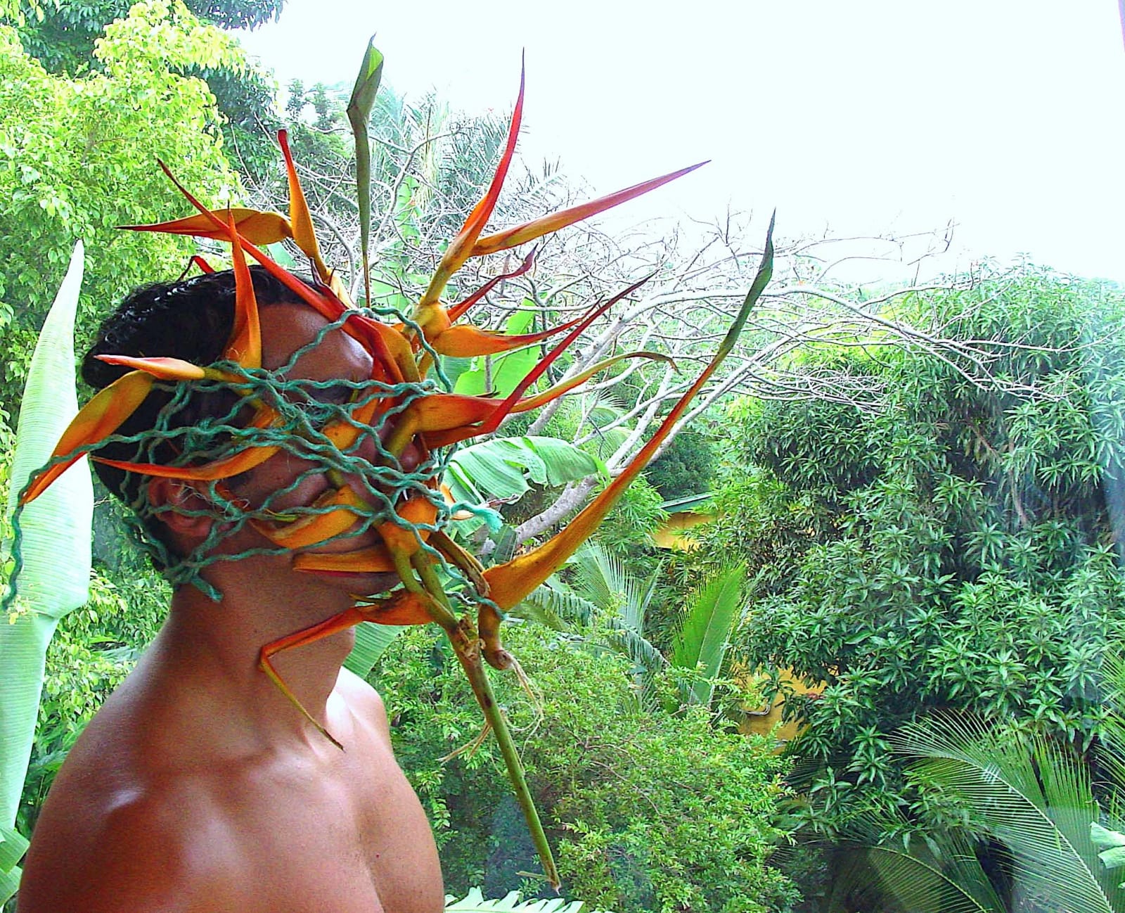 Carlos Betancourt, Vejigante en la Mariposa (Costa Rica), V, 2004