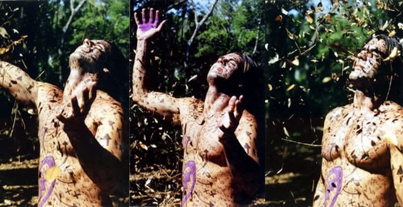 Carlos Betancourt, Hura y Digo, (wind, plant, clean), 2001