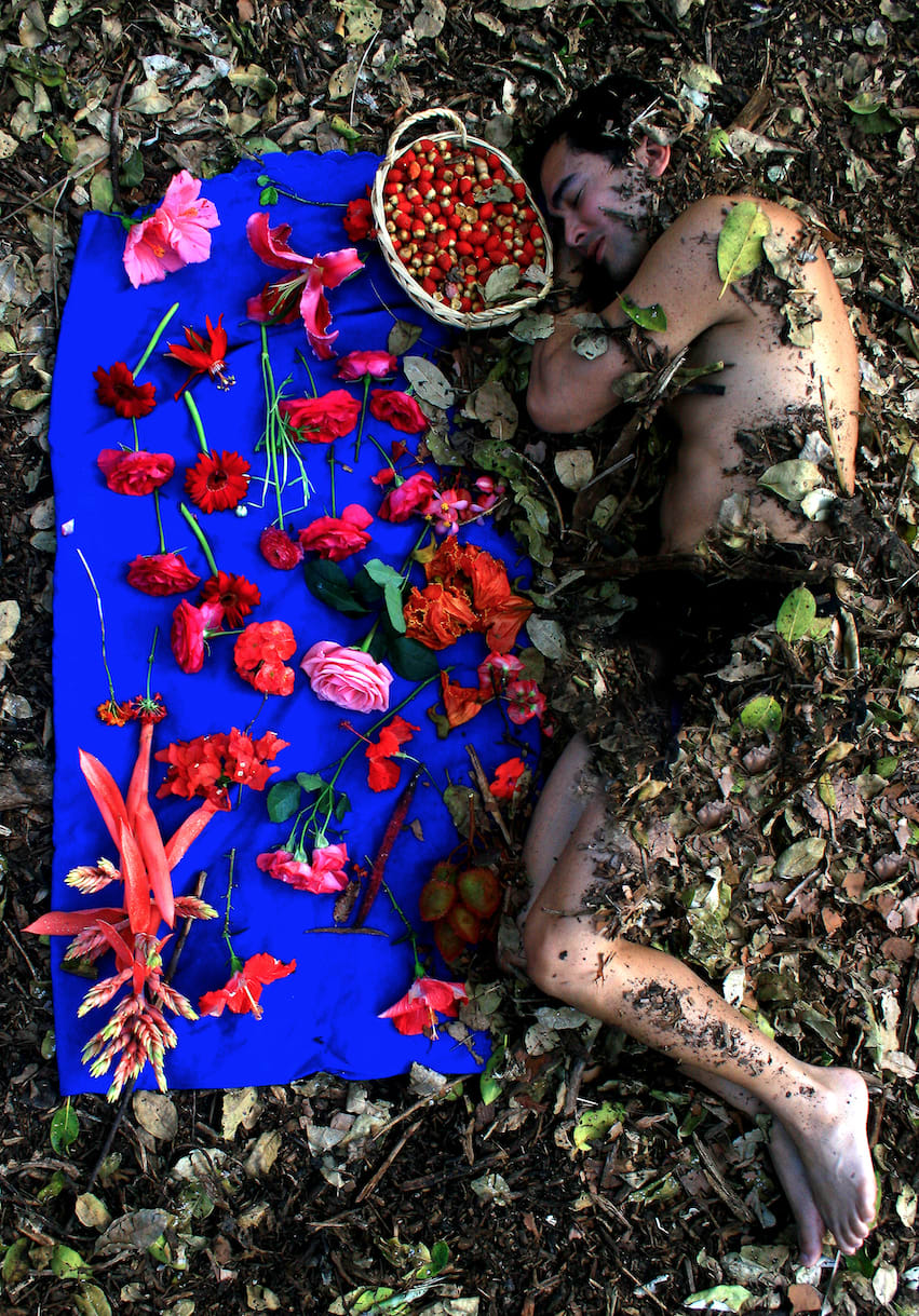 Carlos Betancourt, Albert collecting flowers, I, 2009