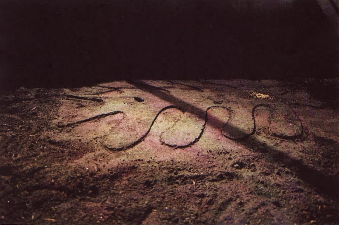 Carlos Betancourt, Departing Perspectives, (site specific installation), 1999-2000