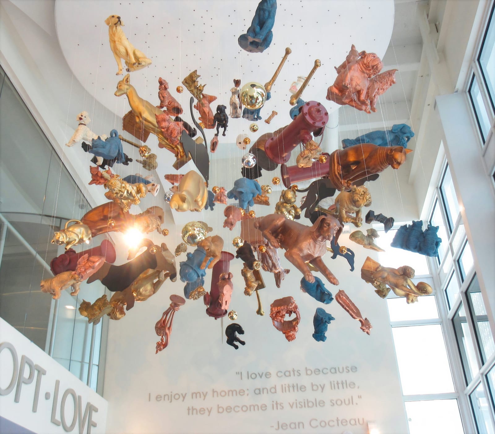 Carlos Betancourt in collaboration with Alberto Latorre, Splendor in the Shelter: Its Raining Cats and Dogs, 2014