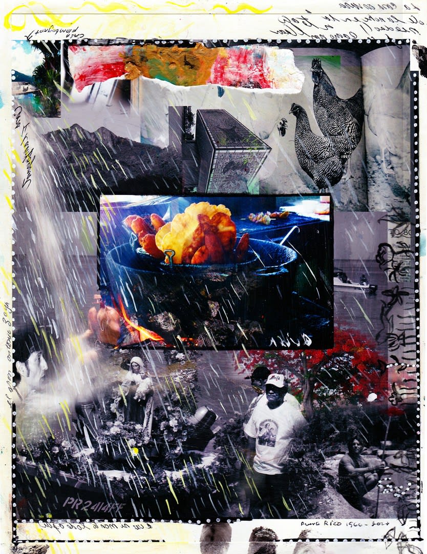 Carlos Betancourt, Bacalaitos, 1988