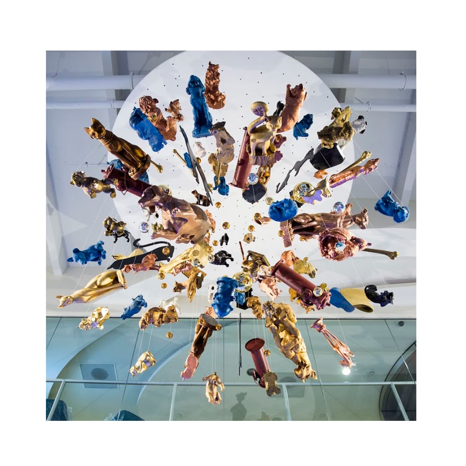 Carlos Betancourt in collaboration with Alberto Latorre, Splendor in the Shelter: Its Raining Cats and Dogs, 2014