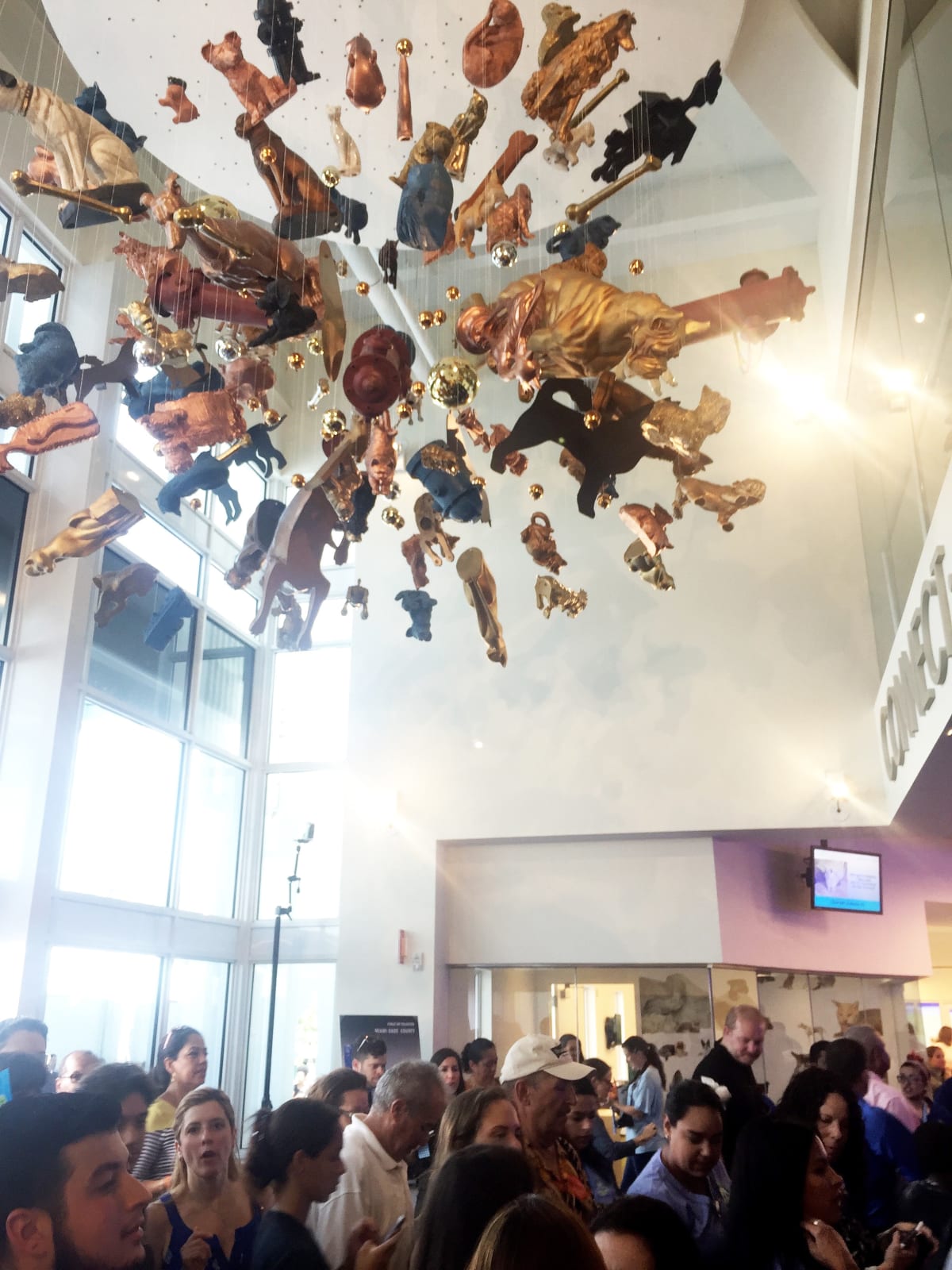 Carlos Betancourt in collaboration with Alberto Latorre, Splendor in the Shelter: Its Raining Cats and Dogs, 2014