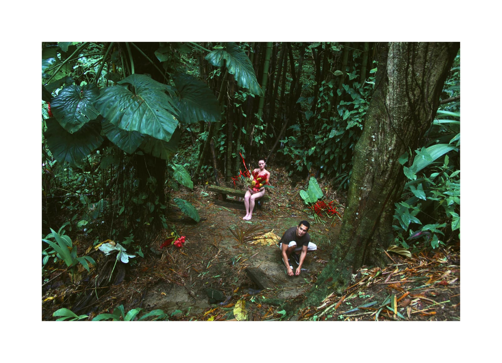 Carlos Betancourt, The Enchanted Garden, Casa Flamboyant II, 2010