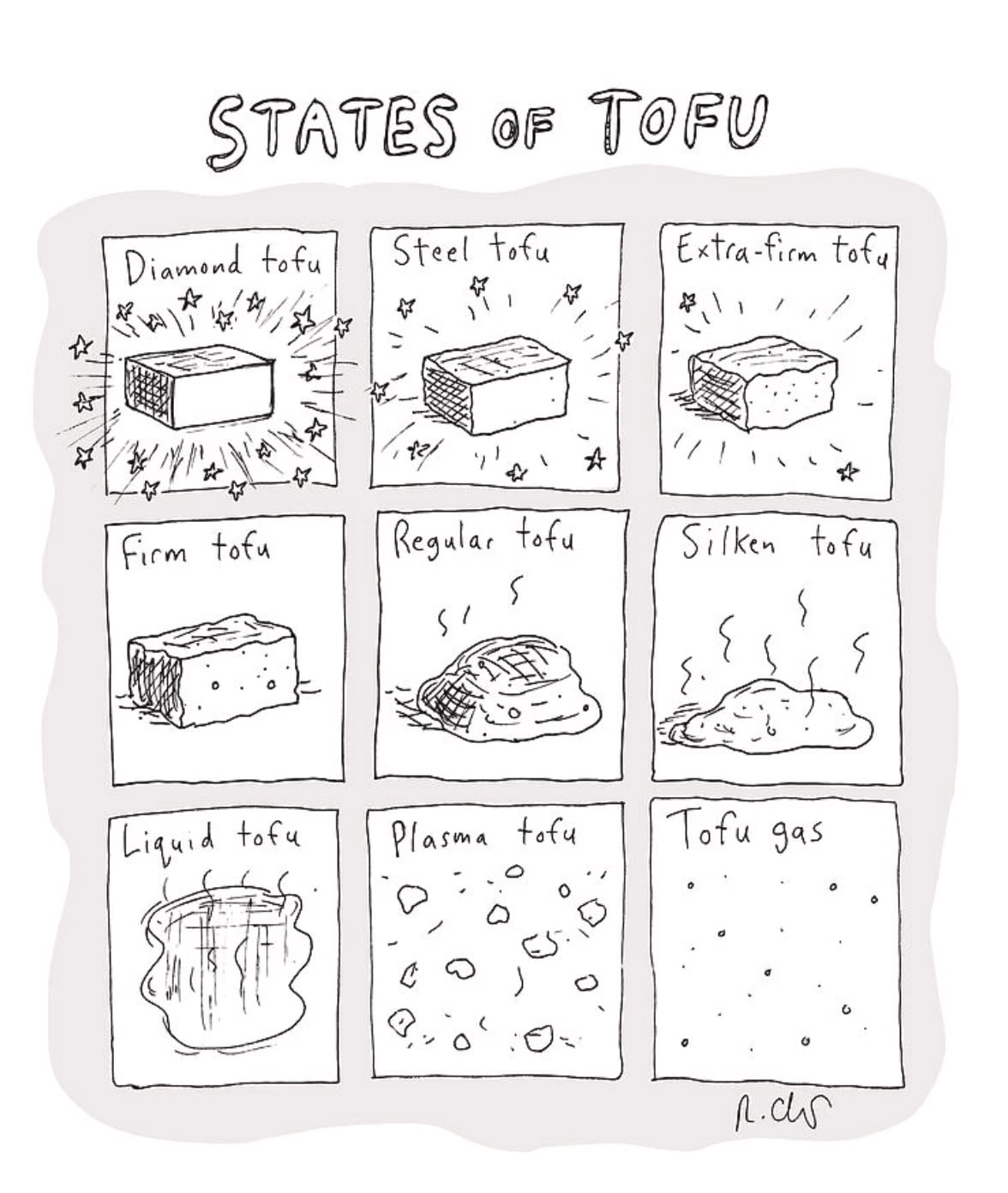 Nine panels showing different states of tofu including “Diamond tofu,” “Firm tofu,” and “Tofu gas.”