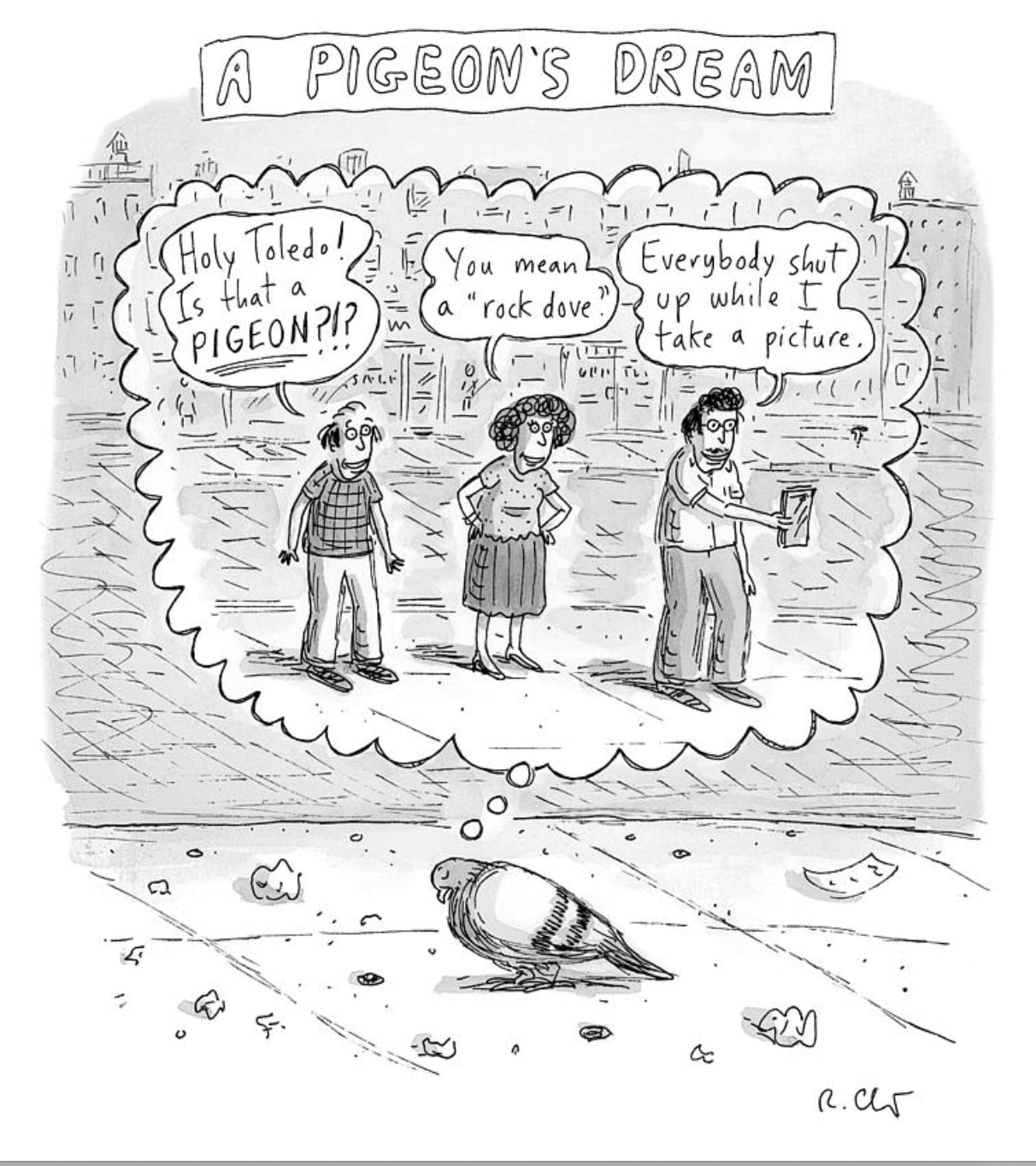 Roz Chast, A Pigeon's Dream, 2021, July 26