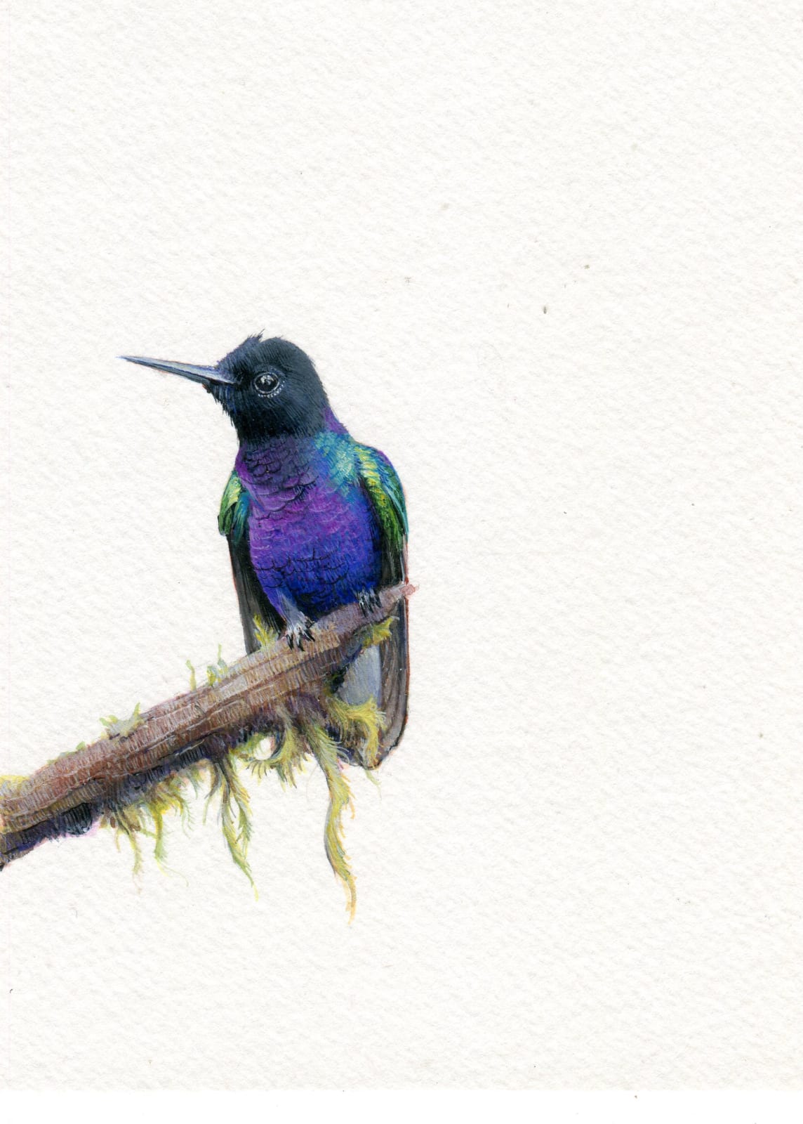 Dina Brodsky, Velvet Coronet, 2019