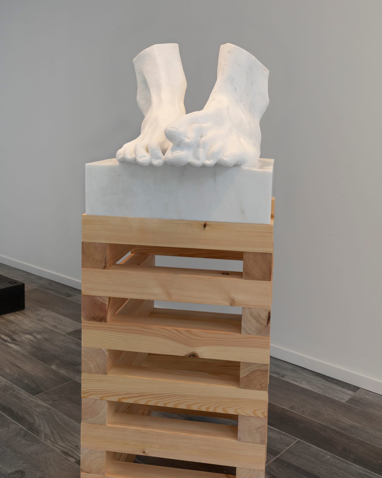 Irena Posner, Study from the Edge, 2022