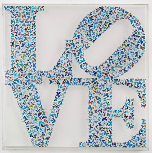 Charles Patrick, Am I Blue, 2025