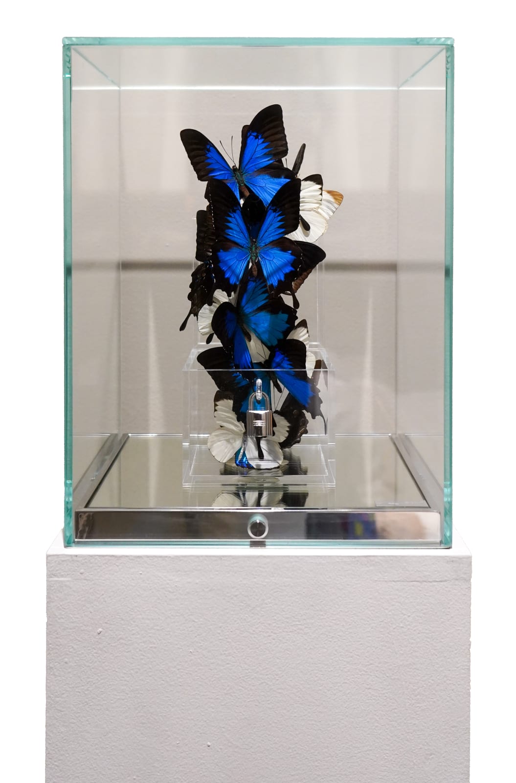 “Love Lock Sky”, sculpture by Roman Feral artist from France, based in Miami. Available at Carousel Fine Art Atlanta. The artist's technique involves transforming the ephemeral into the timeless, which has become his signature. He integrates ancestral luxury techniques with the magnificence of butterflies, suspended in endless flight, creating a unique artistic universe imbued with purity and delicacy that captivates beyond languages and borders. Colors of this work : Blue, Black, White