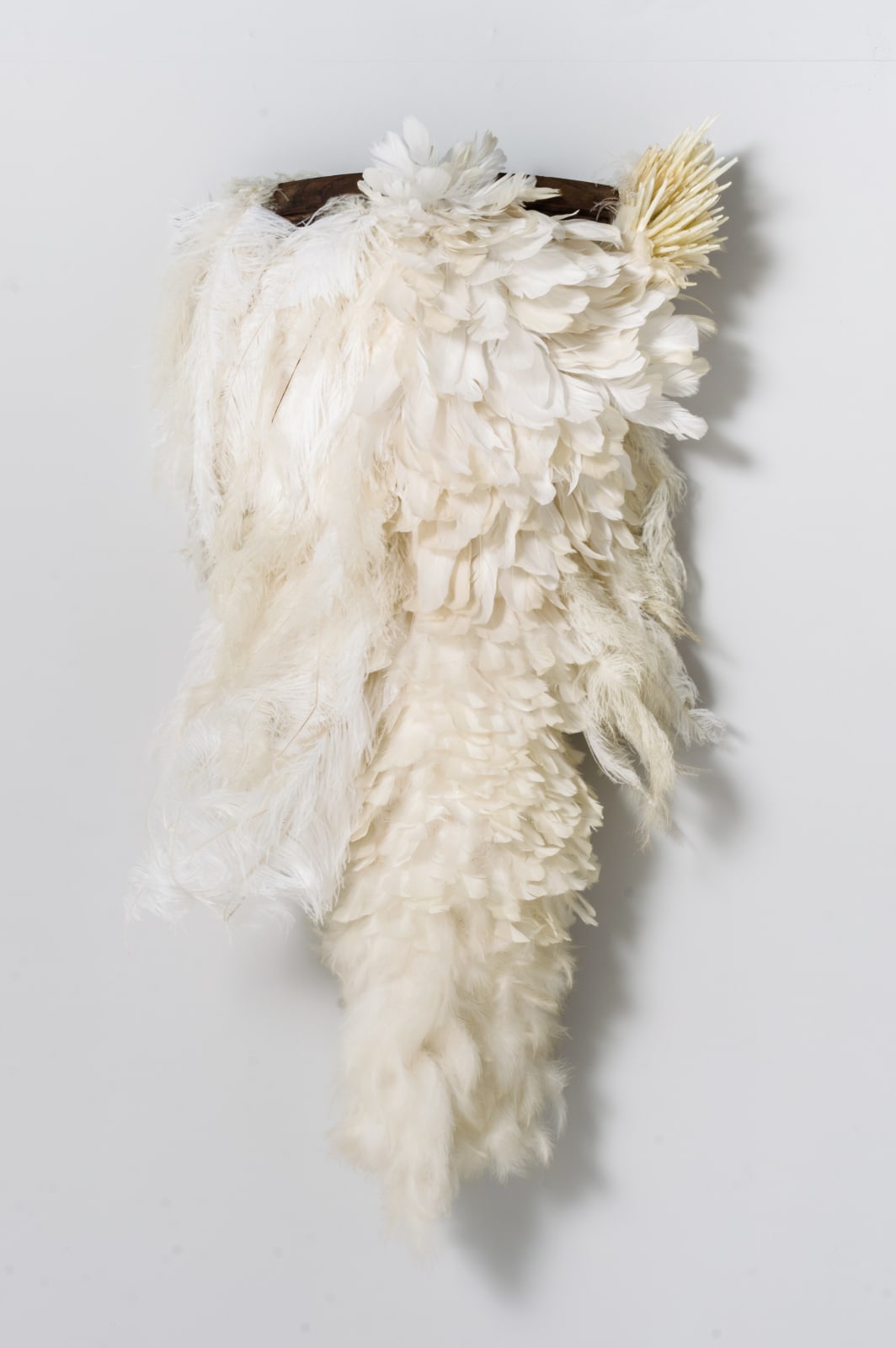 Zé Carlos Garcia, untitled , 2012