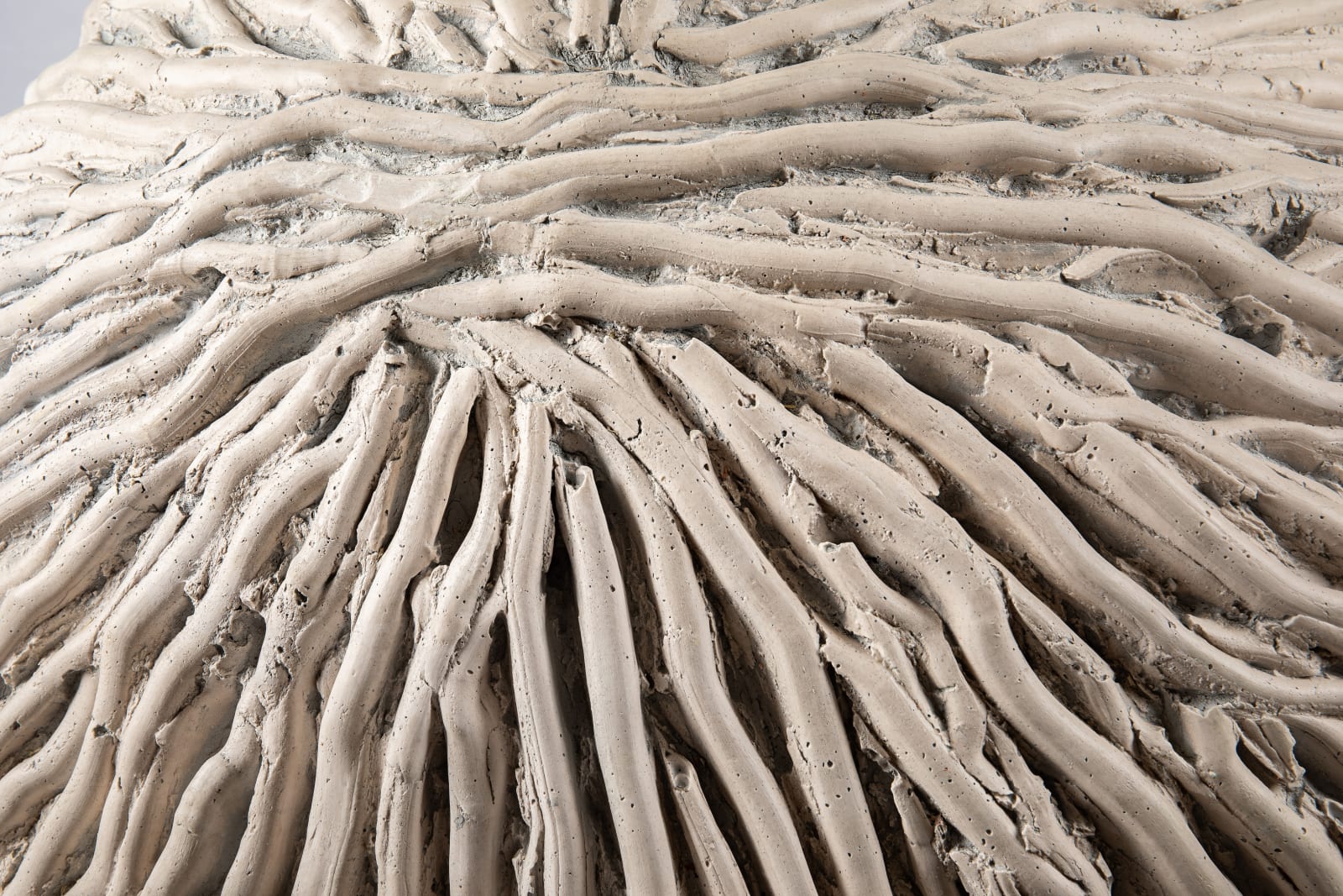 Juliana Cerqueira Leite, Anthropometry, 2019