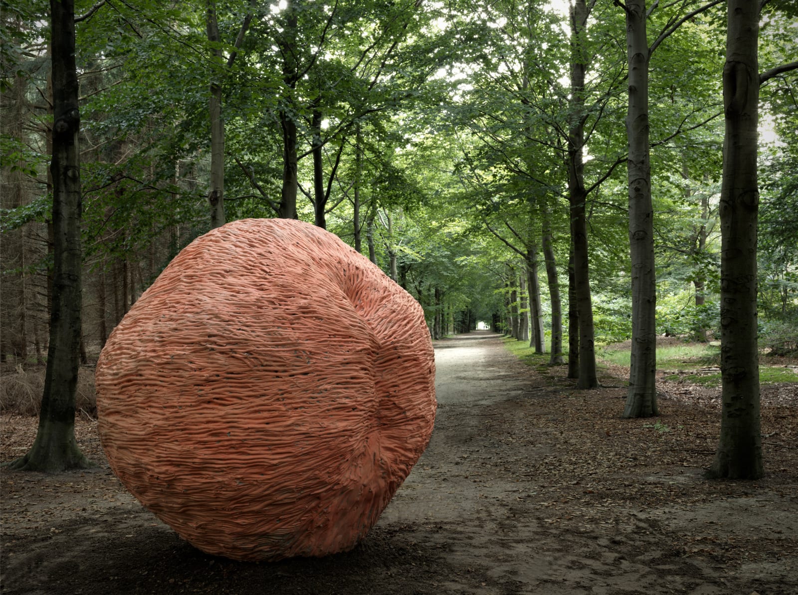 Juliana Cerqueira Leite, Blind Spot II, 2015