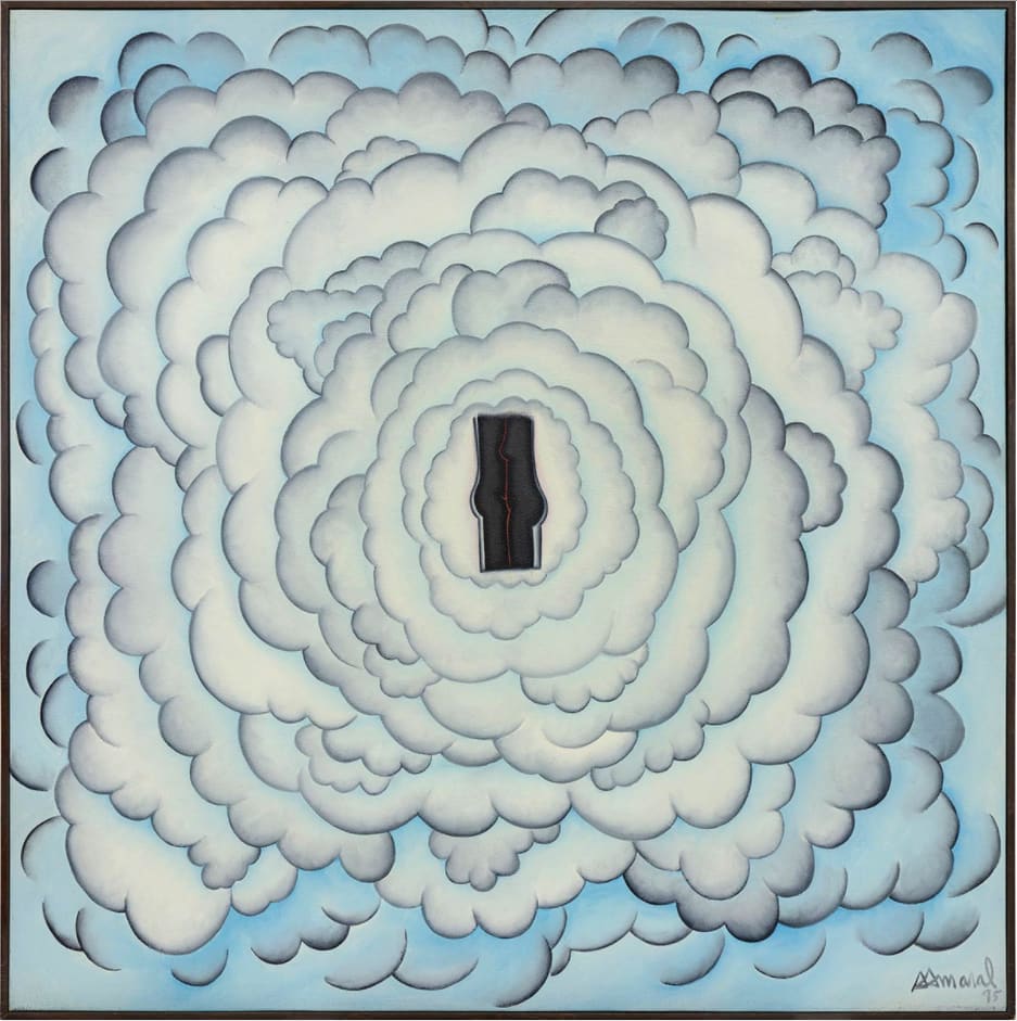 Antonio Henrique Amaral, Casal de novo, 1995
