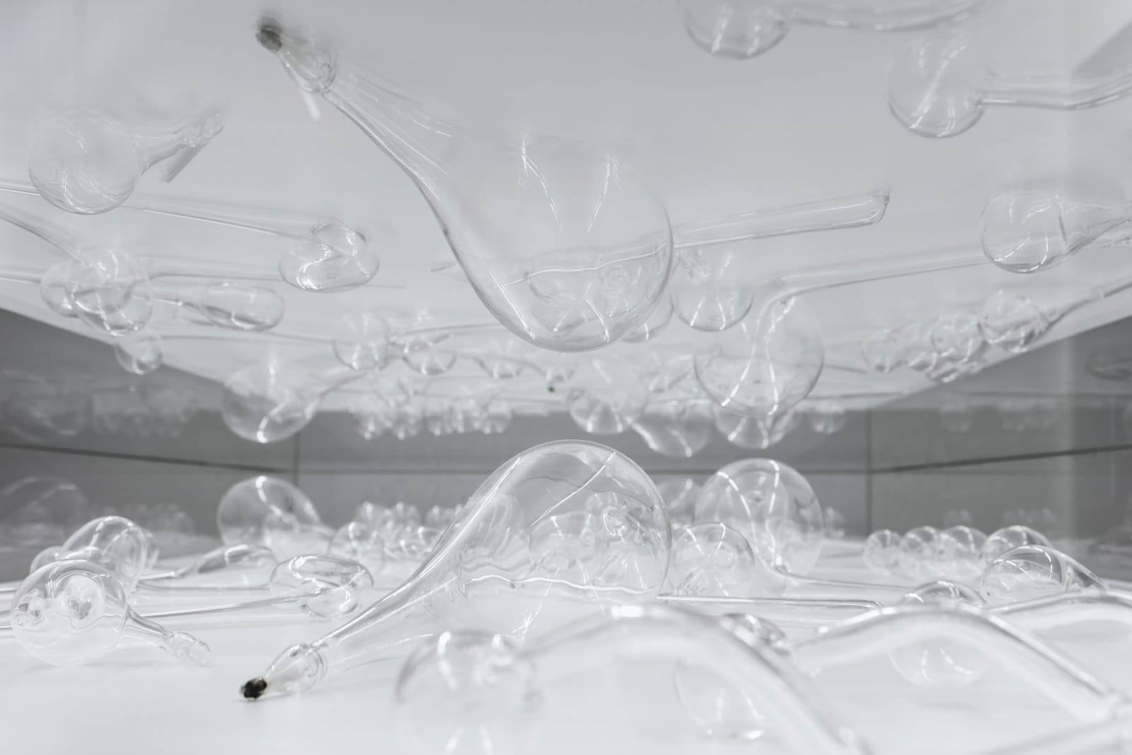 Manuela Ribadeneira, Musical score (thirty seconds of silence), 2018