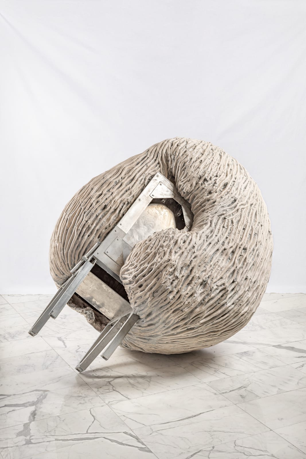 Juliana Cerqueira Leite, Anthropometry, 2019