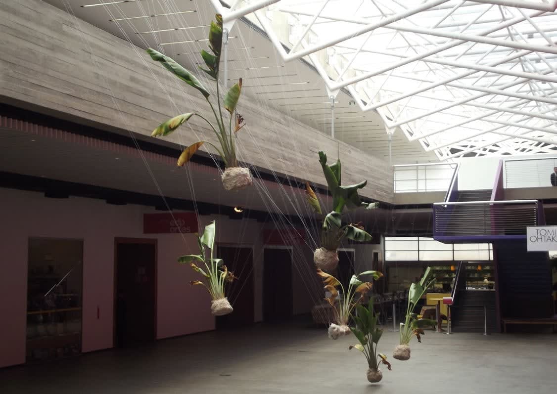 Daniel Lie, Time Trinity, 2014