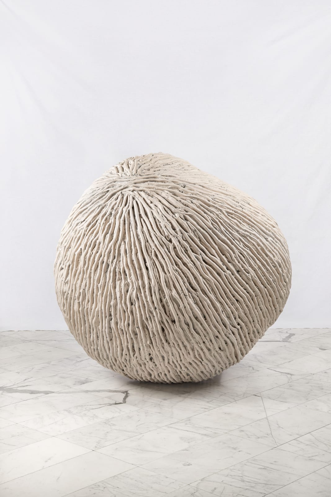Juliana Cerqueira Leite, Anthropometry, 2019