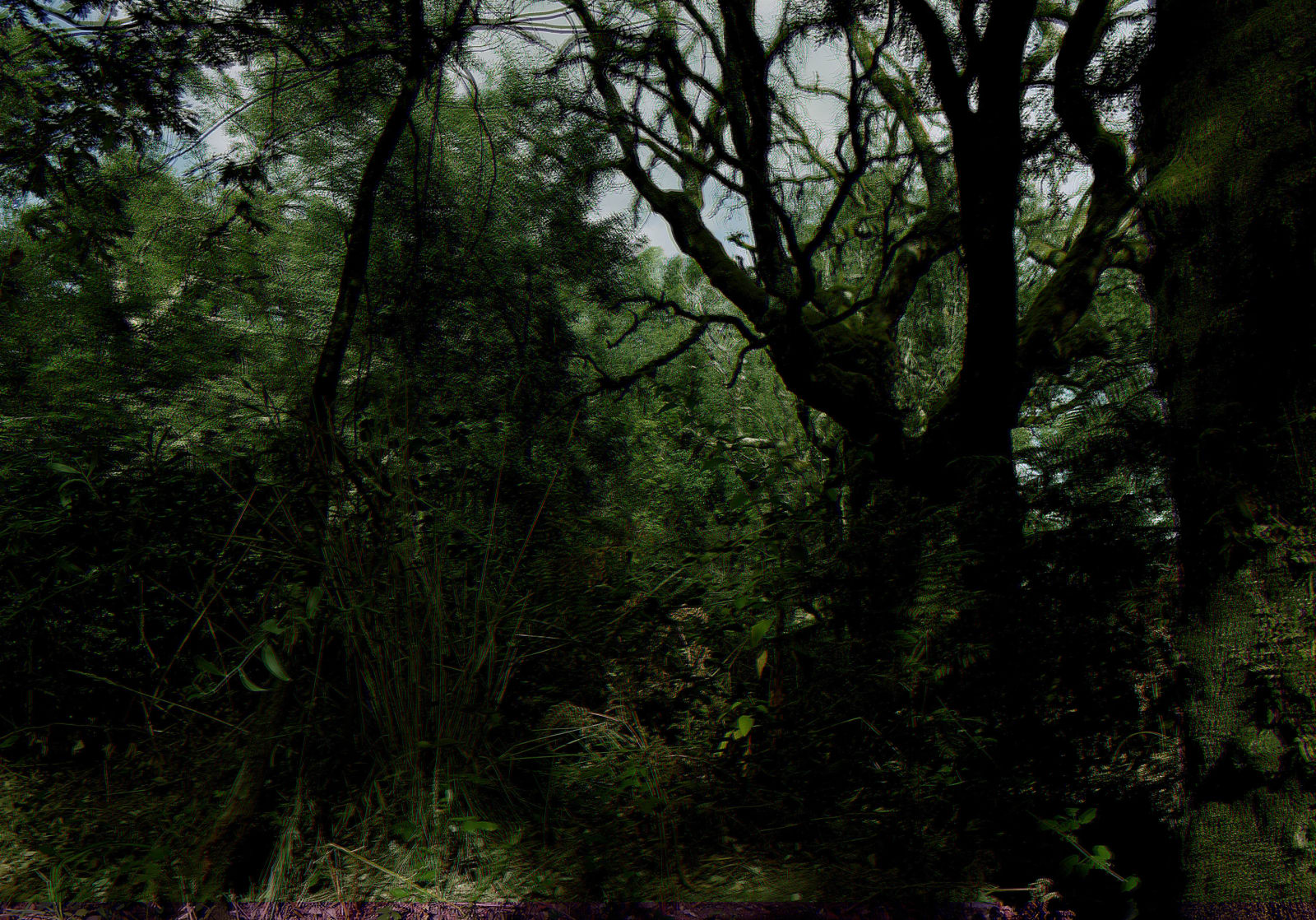 Albano Afonso, Paisagem, 2023