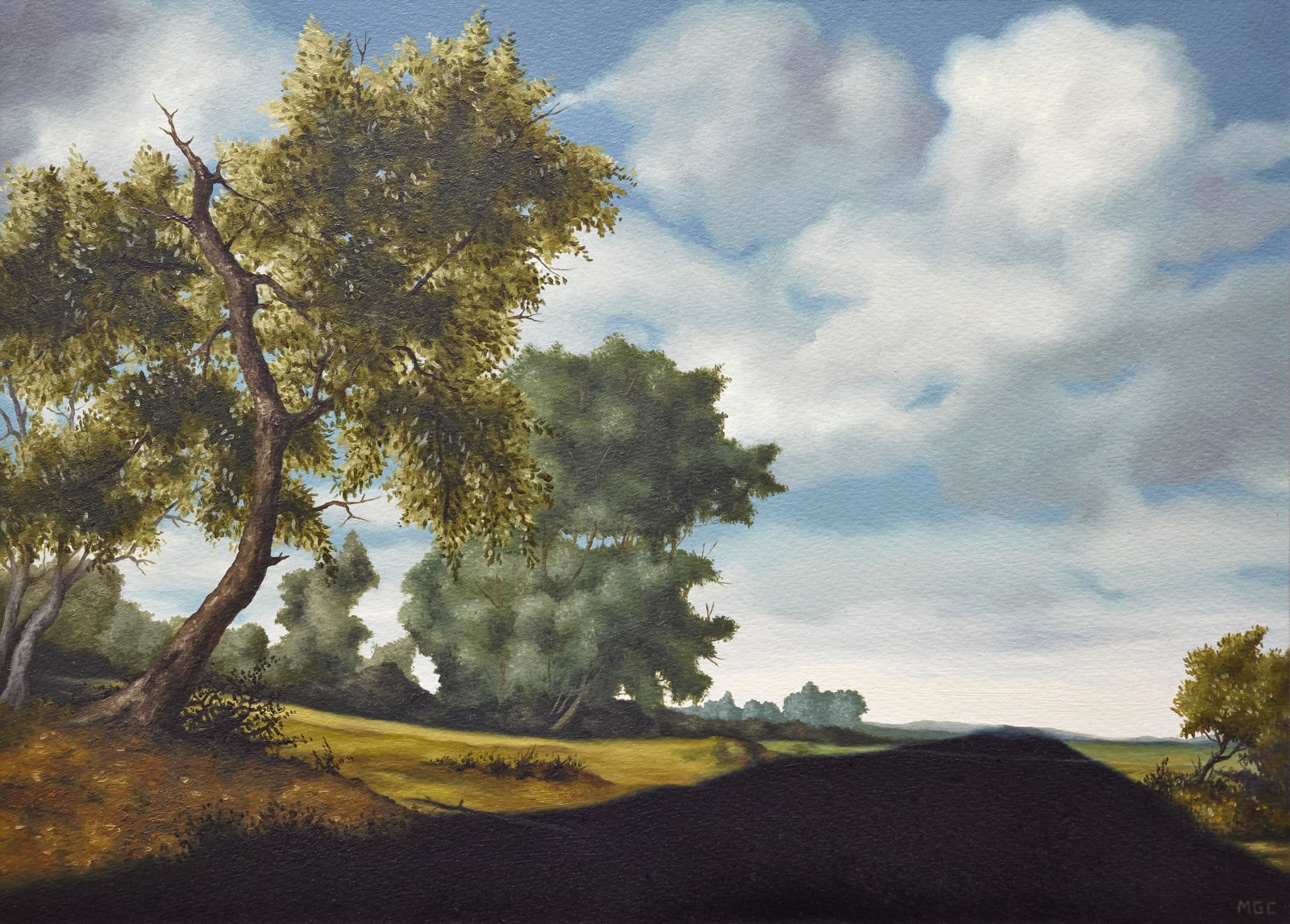 Max Gómez Canle, La sombra que se hace surco, 2013