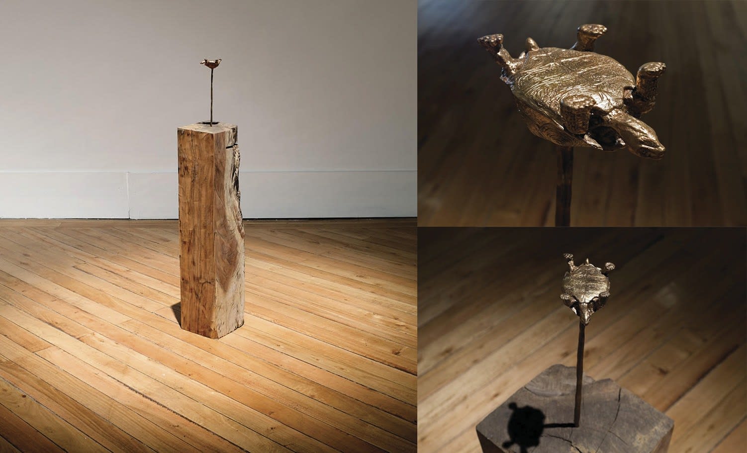 Manuela Ribadeneira, El mundo está patas arriba, 2016