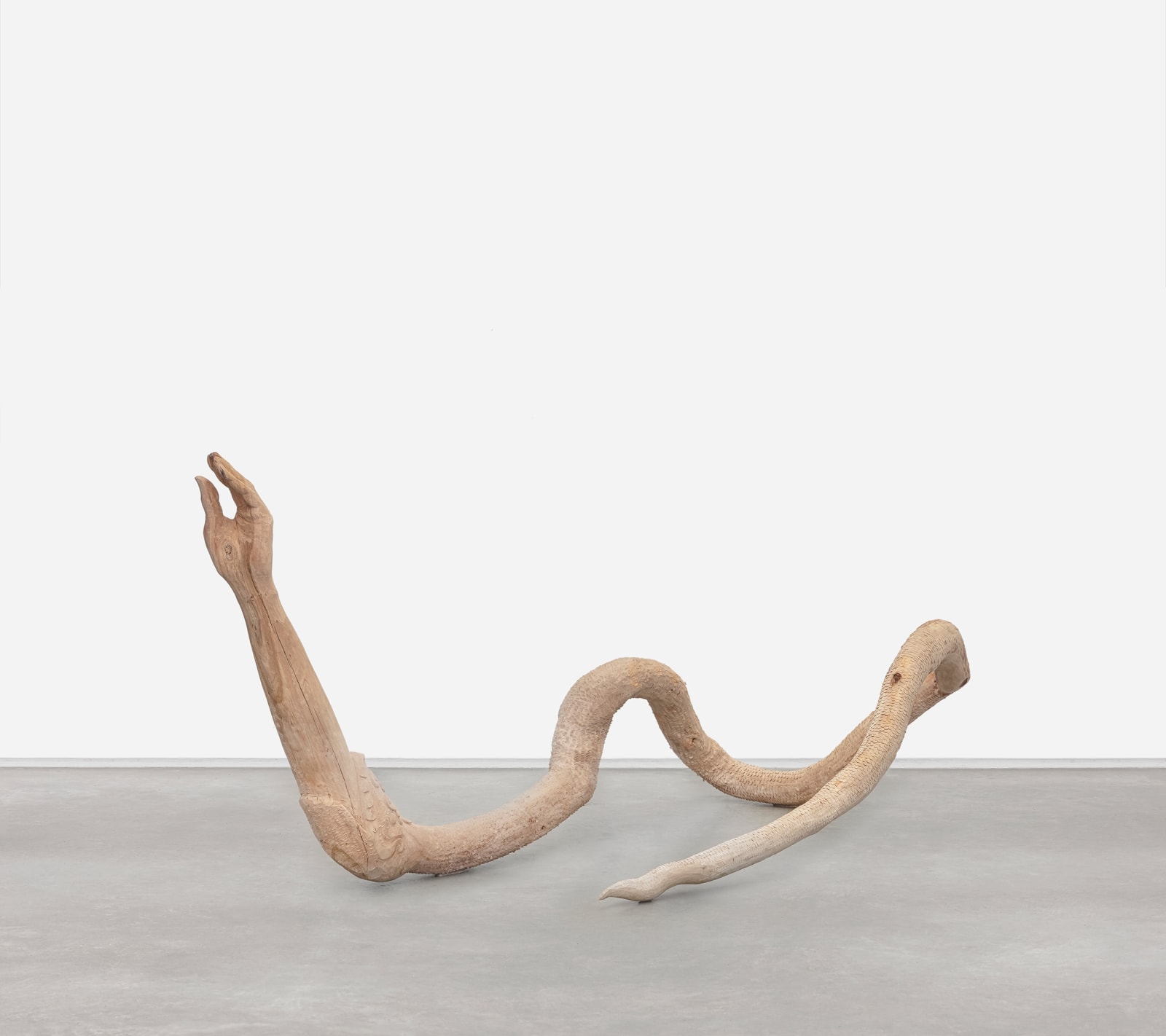 Zé Carlos Garcia, Cobra [Suíte series], 2025