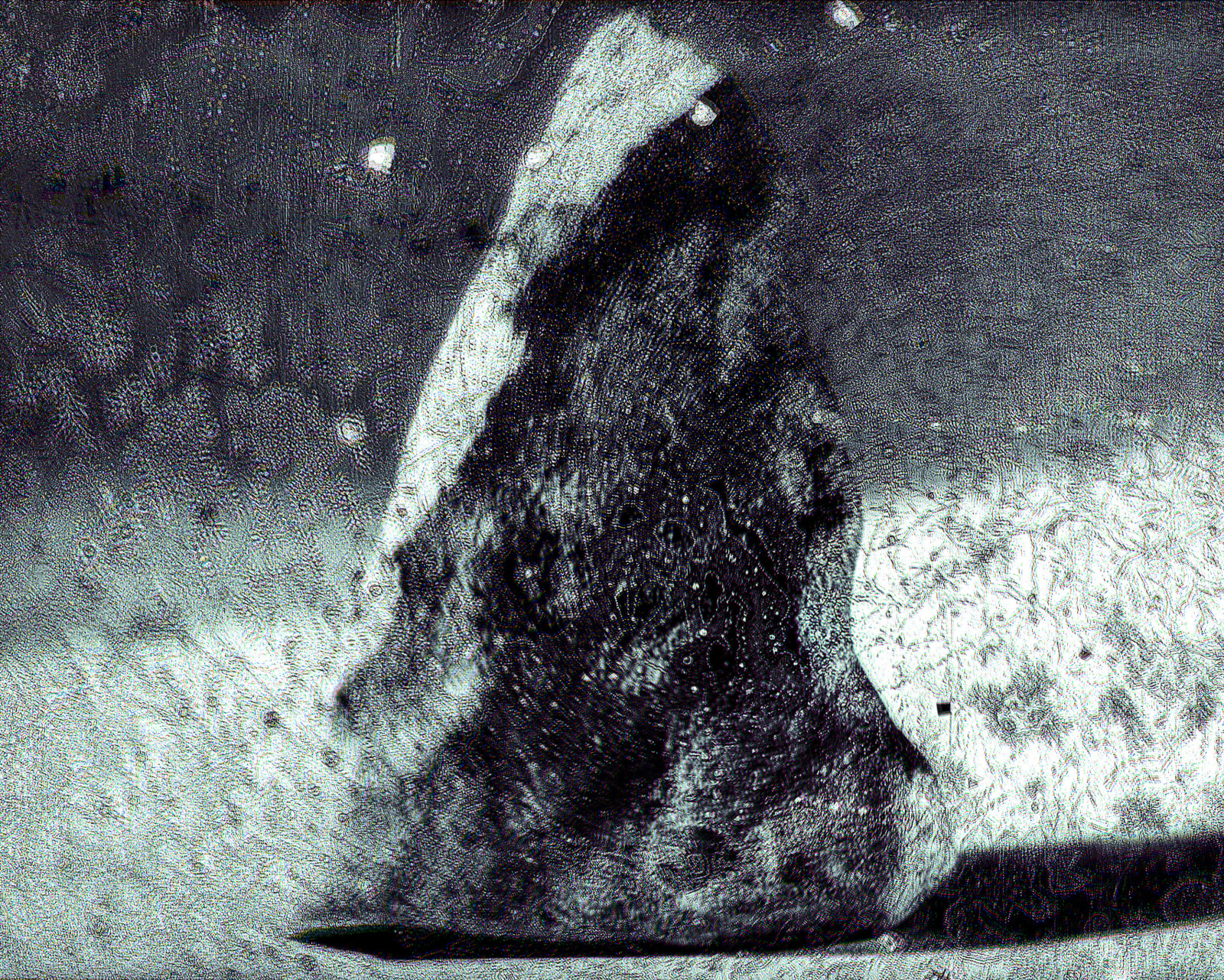 Albano Afonso, Meteoro, 2023