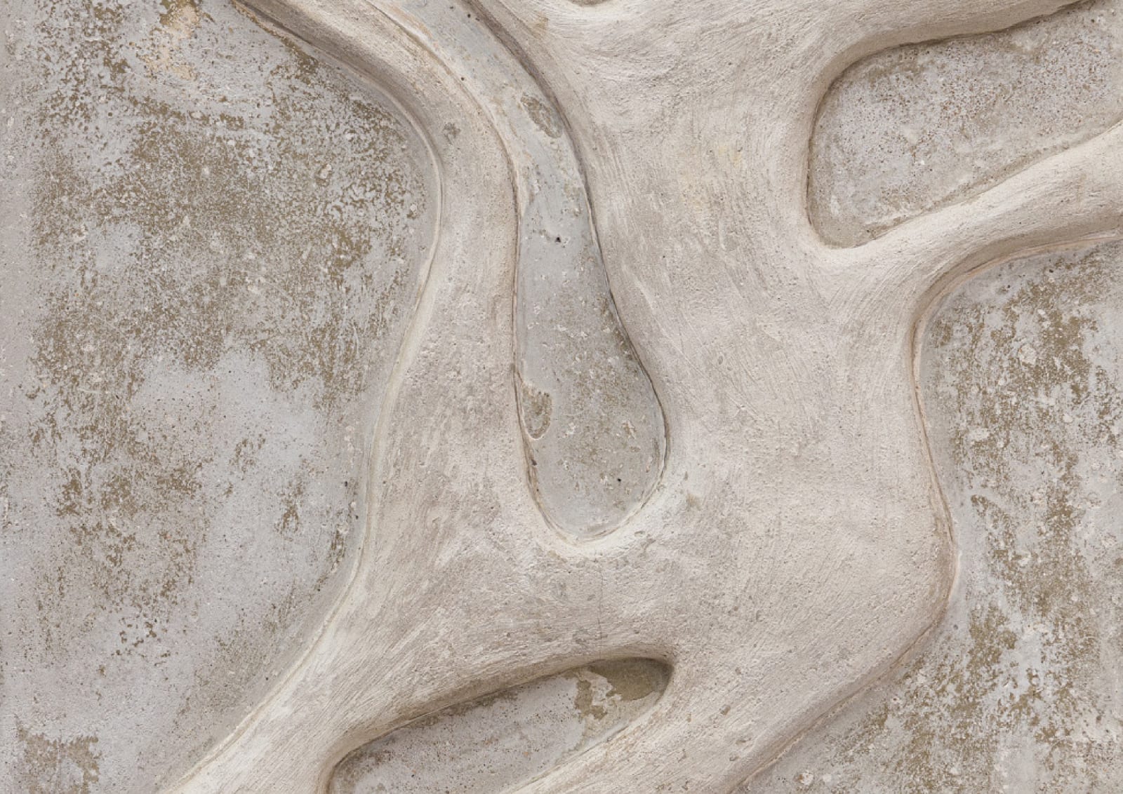 Marina Hachem, Afluente, 2024