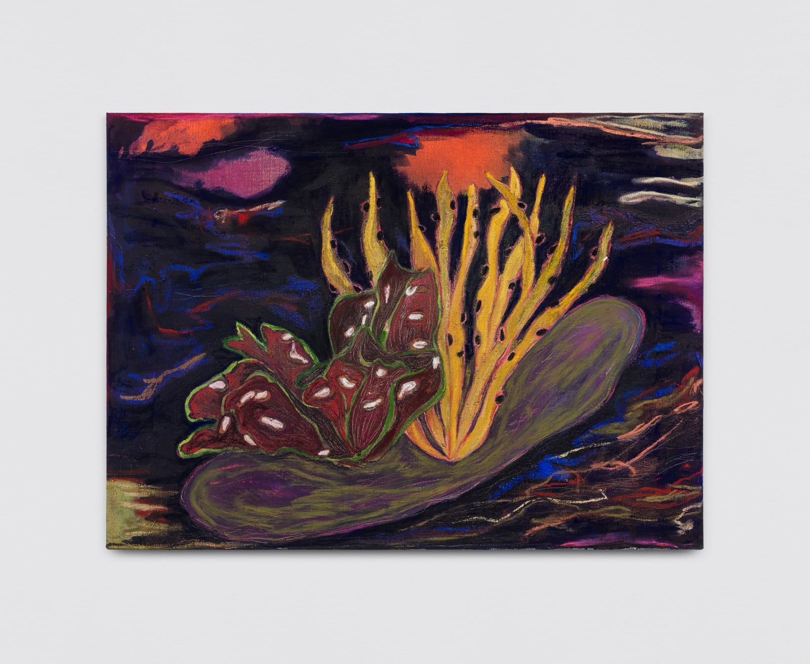 Fernanda Galvão, Alface Noturna, 2025