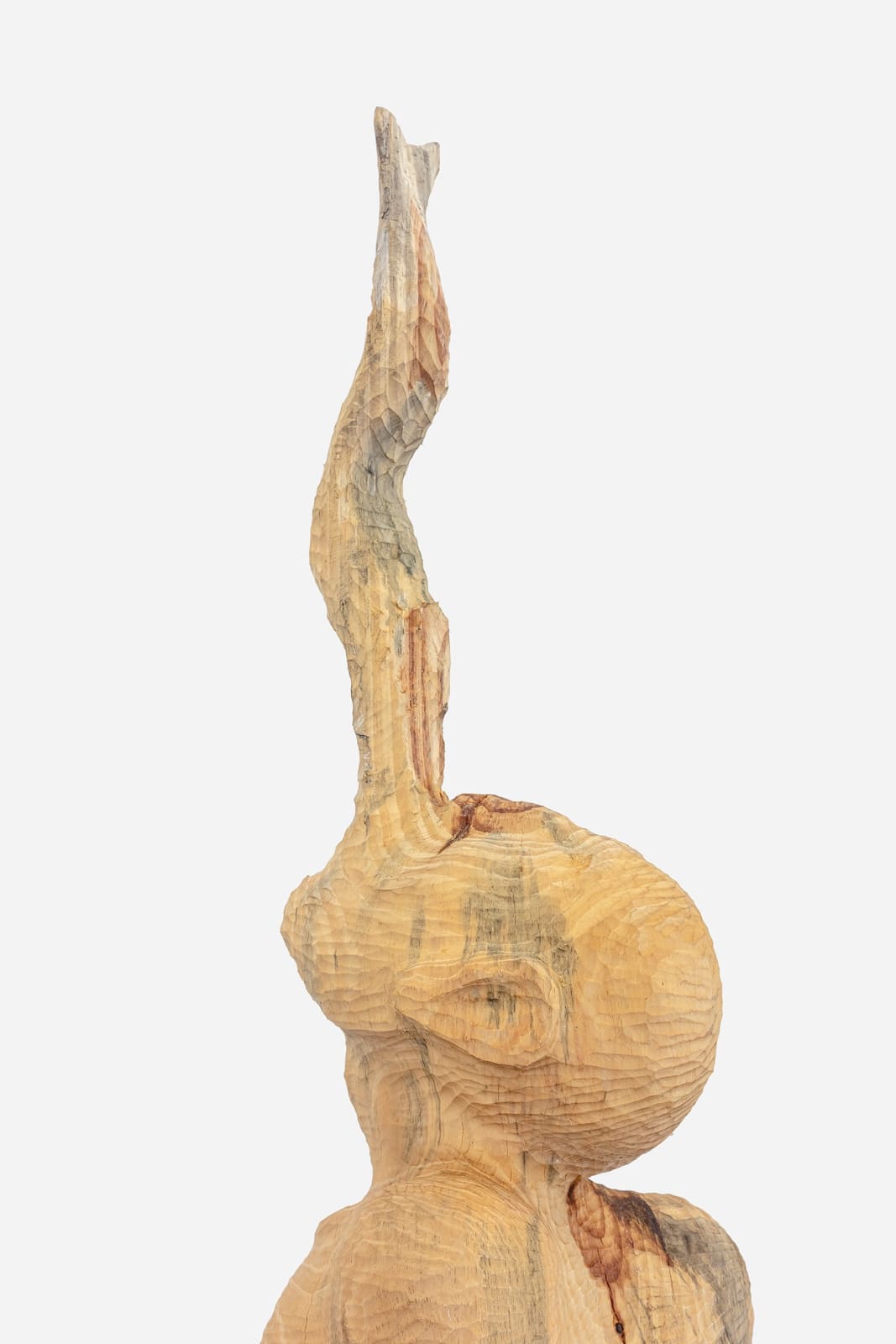 Zé Carlos Garcia, Peixe das nuvens , 2025