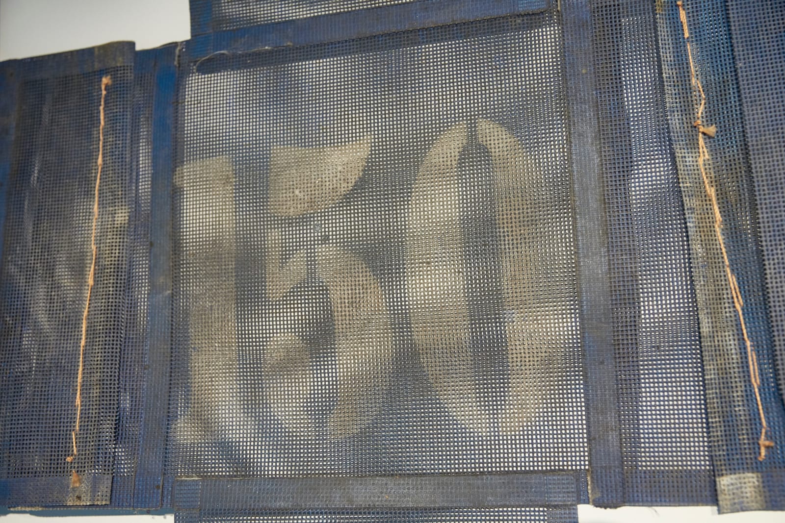 Zé Tepedino, 150, 2023