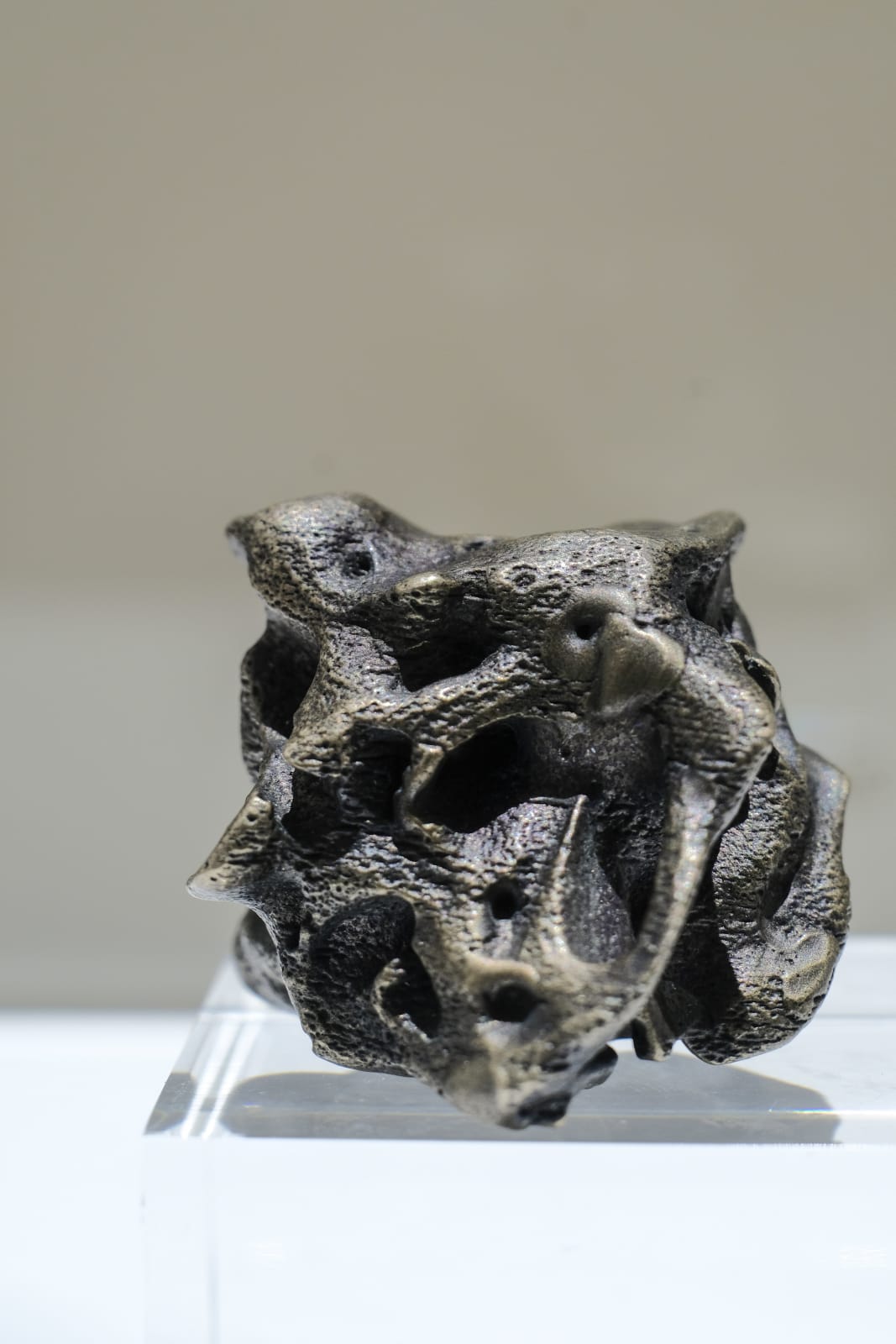 Manuela Ribadeneira, God Particle, 2016