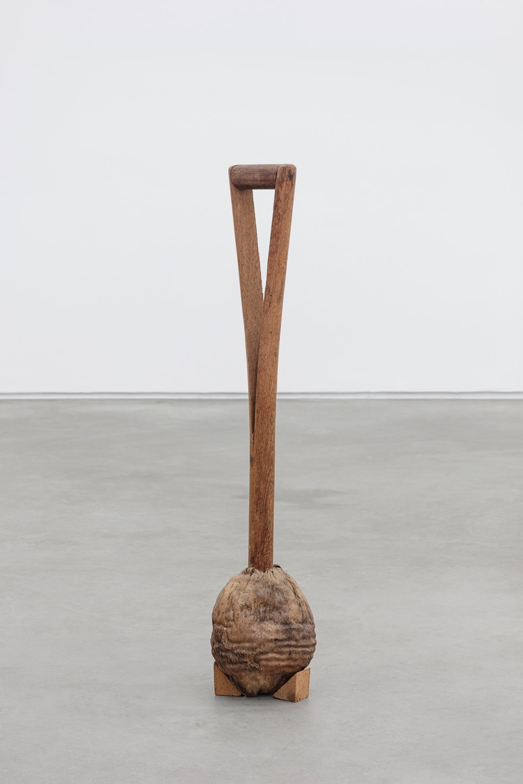 Zé Tepedino, Work and play, 2022