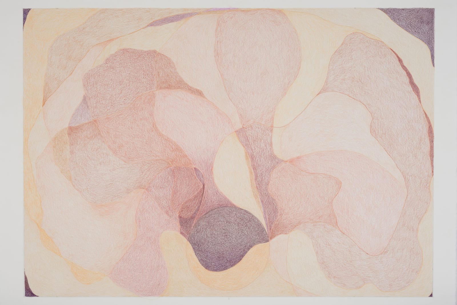 Juliana Cerqueira Leite, Ear, 2023