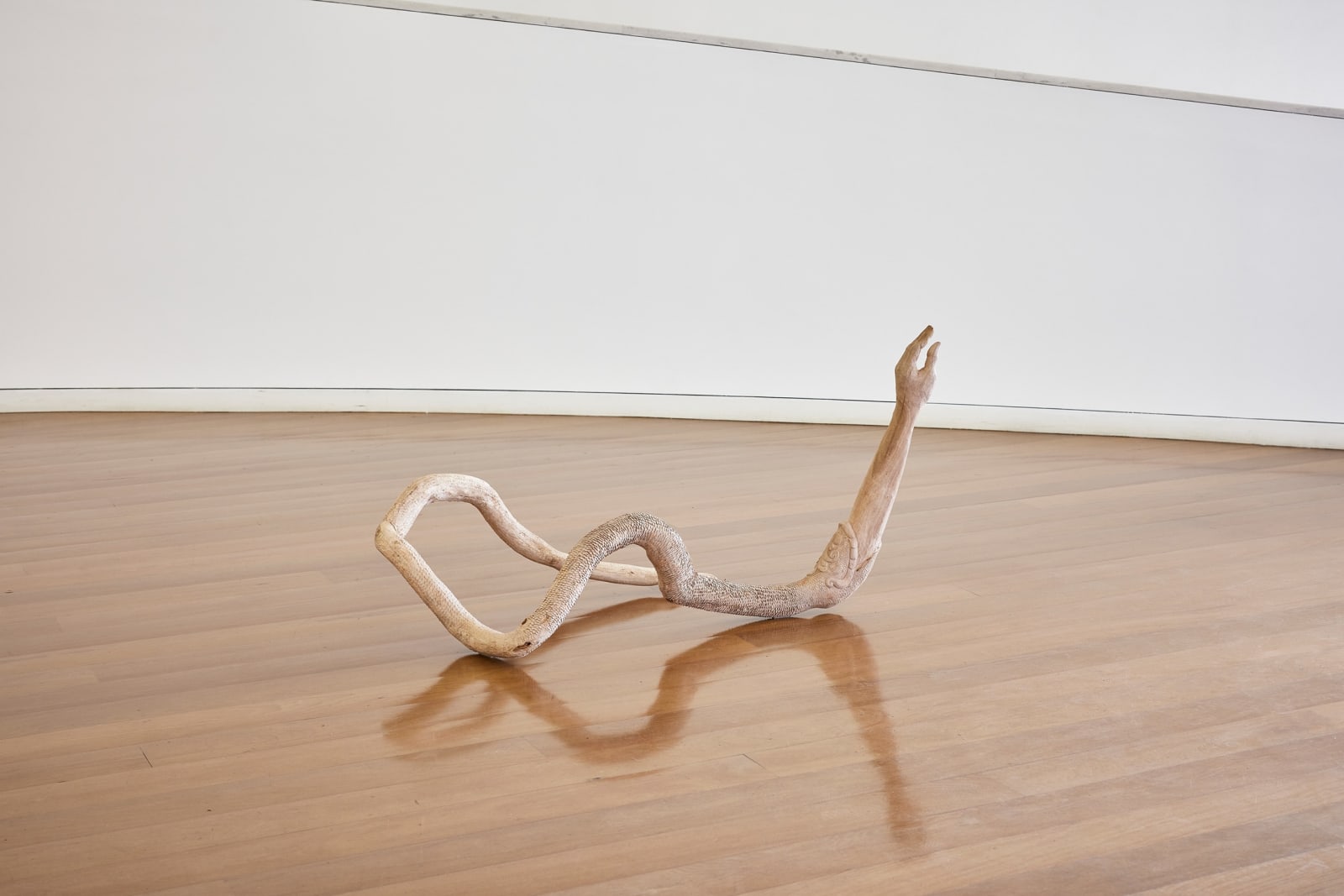 Zé Carlos Garcia, Cobra [Suíte series], 2025