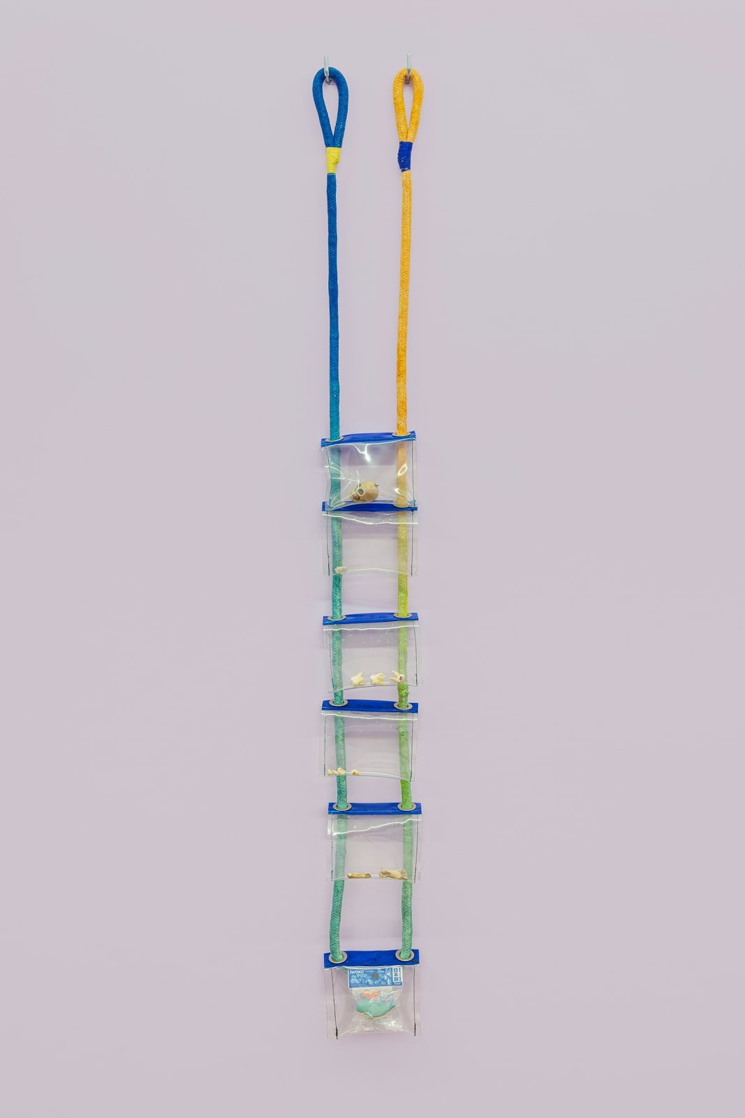 Dan Lie, Transition, 2015